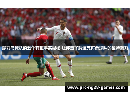 魔力鸟球队的五个有趣事实揭秘 让你更了解这支传奇球队的独特魅力